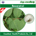 Resveratrol 98% (Giant Knotweed Extrakt)